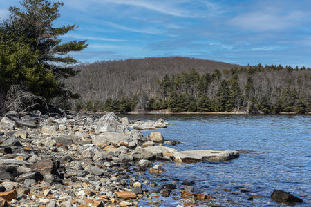 the rocky shore of the quabbin  in ware massachusettsの写真素材