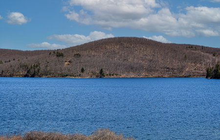 a look of the open landscape of  quabbin  reservior  in ware massachusettsの写真素材