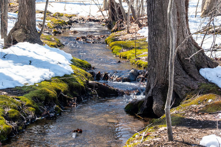 a small brook  flowing through  central new england