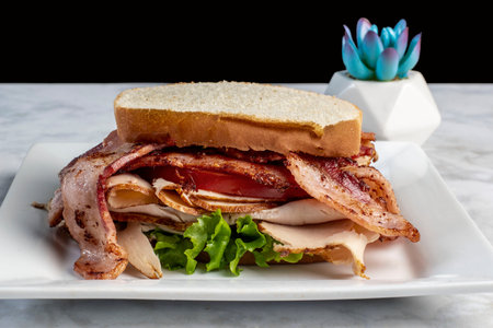turkey  bacon and tomato on white breadの写真素材