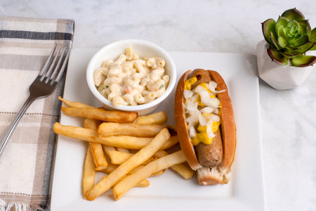 chicken sausage  top with mutard and onions  in a hot dog bun .served with french fries and macaroni saladの写真素材