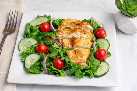 salad  served with sliced seasoned chicken breastの写真素材