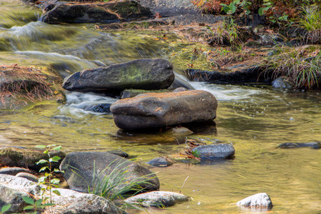 willard brook   cascading through willard brook state forest ashby massachusetts