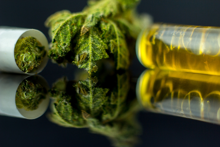 Medical Oil and Capsule of Cannabis - marijuana flower in capsule and cannabis on the mirror black background.の写真素材