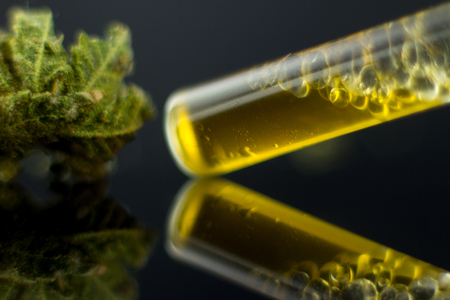 Medical Oil Cannabis - marijuana flower and oil cannabis on the mirror black background.の写真素材