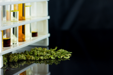 Medical Oil of Cannabis - oil test tubes with old antique apothecary jar with marijuana on the black mirror background.の写真素材