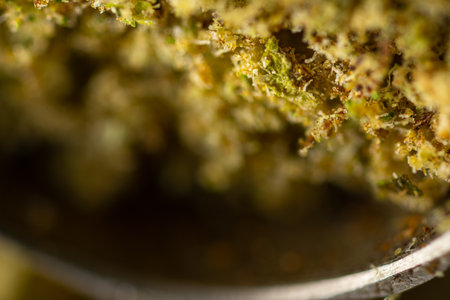 macro Seeds and macro flowers of Weedの写真素材