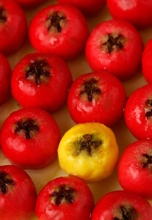 Odd one out - do berries reflect society?  Shallow dof macro image - point of focus is yellow berry.の写真素材