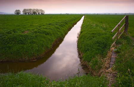 Somerset Levels in England, evening scene.の写真素材