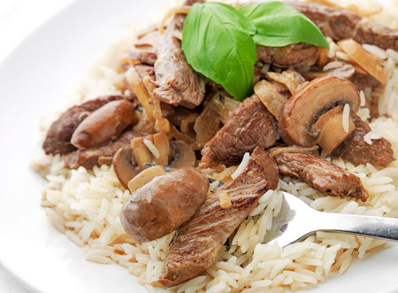 boeuf stroganoffの写真素材
