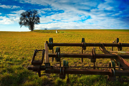 Plogh and treeの写真素材