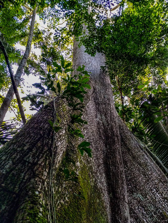 TREE SHOWING ITS UPPER TWIGS WITH THE BACKGROUND SKY. THIS TREE IS LOCATED IN THE MIDDLE OF THE...