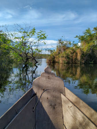 Amazon River and clouds reflexの写真素材