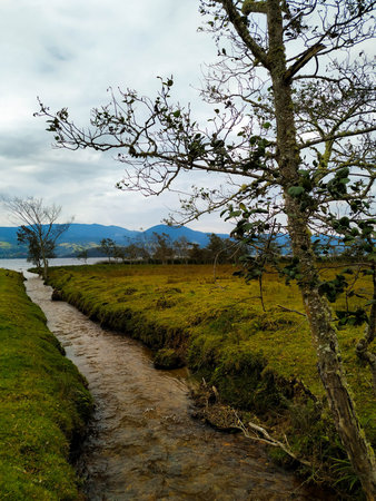 River that flows into La Cocha Lagoon in the mountains of Colombia. At the height of a Paramo is the...