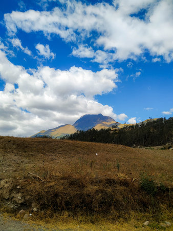 Imbabura Volcano and Plants in Otavalo - Ecuador This photo shows the surrounding vegetation and the...