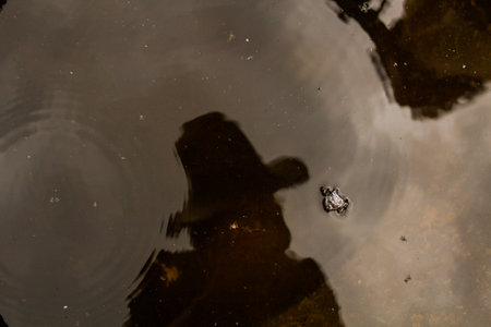Photo of the reflection in the water on different surfaces.の写真素材
