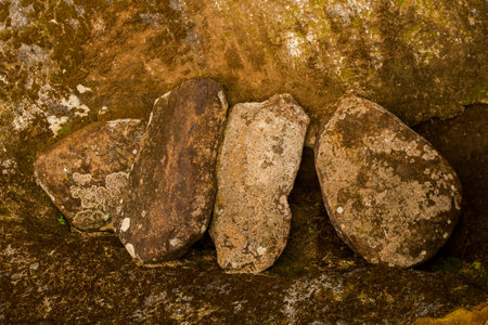 ancient colombian indigenous statue hecra in stoneの写真素材