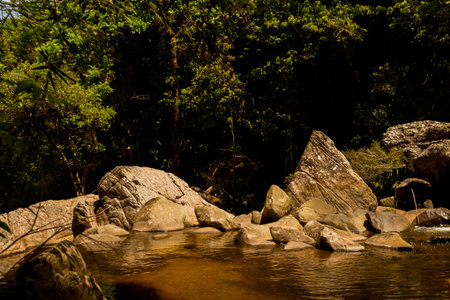 Rivers and waterfalls between stones, in tropical forests.の写真素材