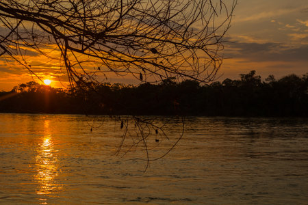Rivers and lagoons with textures and different moments.の写真素材
