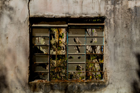 Old broken window in abandoned house with plants and cracks on the wallsの写真素材