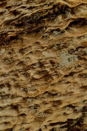 Rocky Texture