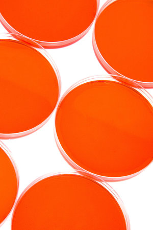 Petri dishes