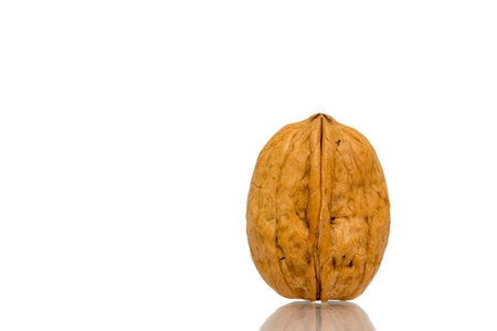 Walnut isolated on white background close up