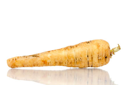 Parsnip isolated on white background close upの写真素材