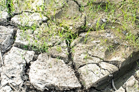 Dry cracked earth の写真素材