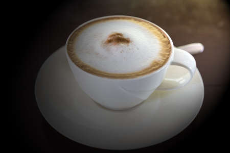 A cup of cappuccino and cinnamonの写真素材