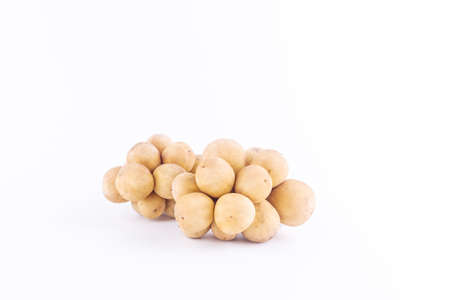 The sweet Thai wollongong isolated on white backgroundの写真素材