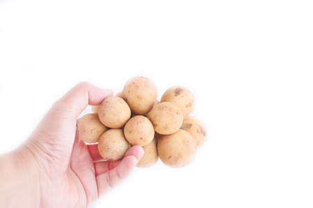 Wollongong isolated on white backgroundの写真素材