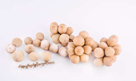 The sweet Thai wollongong isolated on white backgroundの写真素材