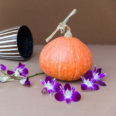 pumpkin over brown carton paper backgroundの写真素材