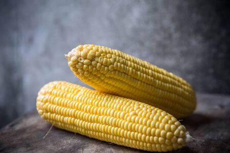 Corn cob on old wooden table-Still lifeの写真素材