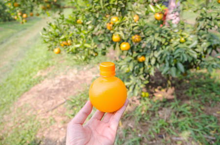 The orange juice in the plastic bottle, orange juice bottle in handの写真素材