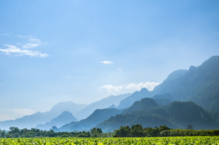 View of Appalachian mountains, mountain view landscape of north thailand