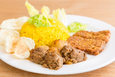 vegetarian rendang with turmeric rice, Indonesian foodの写真素材