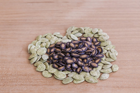 Watermelon seeds and pumpkin seedsの写真素材
