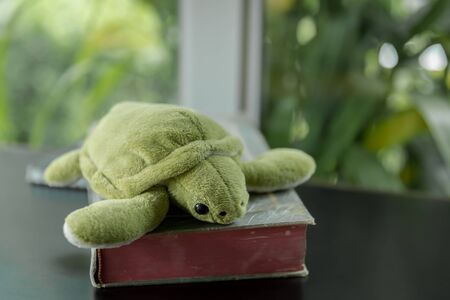 Image of turtle doll on a bookの写真素材