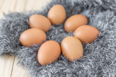Close up eggs on wool background, raw eggs, selective focusの写真素材