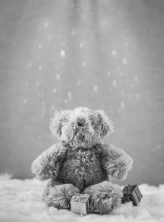 christmas teddy bear sitting in the snow : black & whiteの写真素材