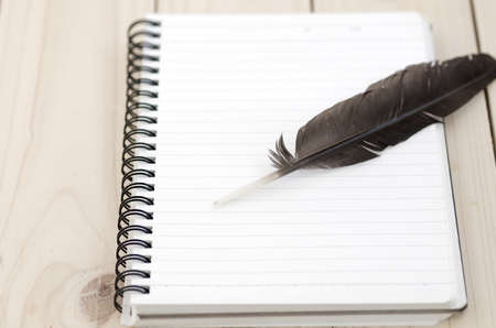 blank notebook with Feather, blank notebook with brown Feather on wooden background, feather on blank notebookの写真素材
