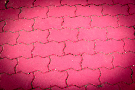 red plant between cement bricks background, background texture of cobblestone road