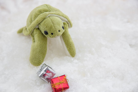 turtle doll with christmas gift box in the snow background