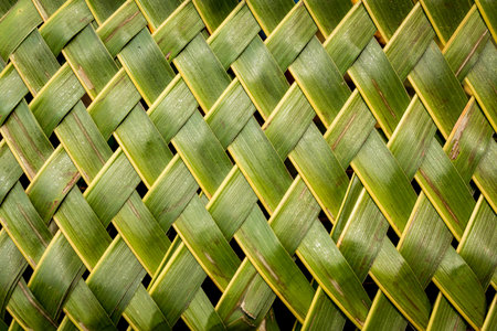 native thai style bamboo wall, texture of bamboo wall background