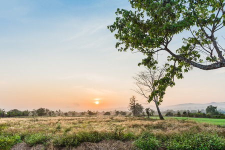 Beautiful landscape of the sunsetの写真素材