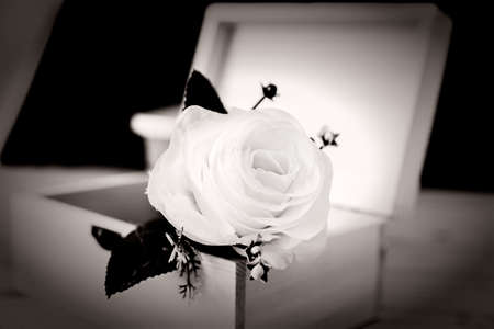 still life with rose in wooden box - Selective focus, vintage styleの写真素材
