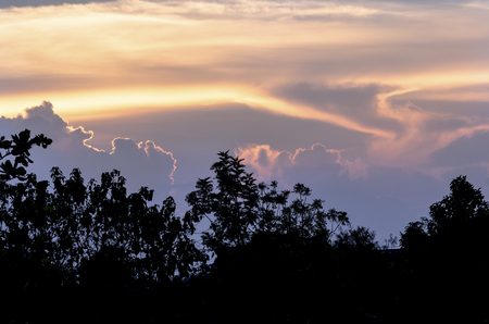 sunset sky and cloud with tree silhouette in the eveningの写真素材