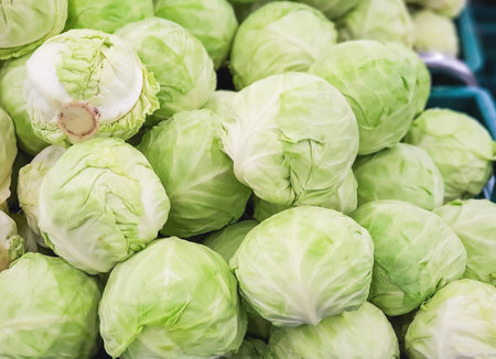 fresh cabbage for sale in the marketの写真素材